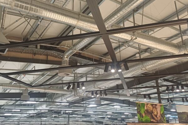 20251009_073539 20251009_073539